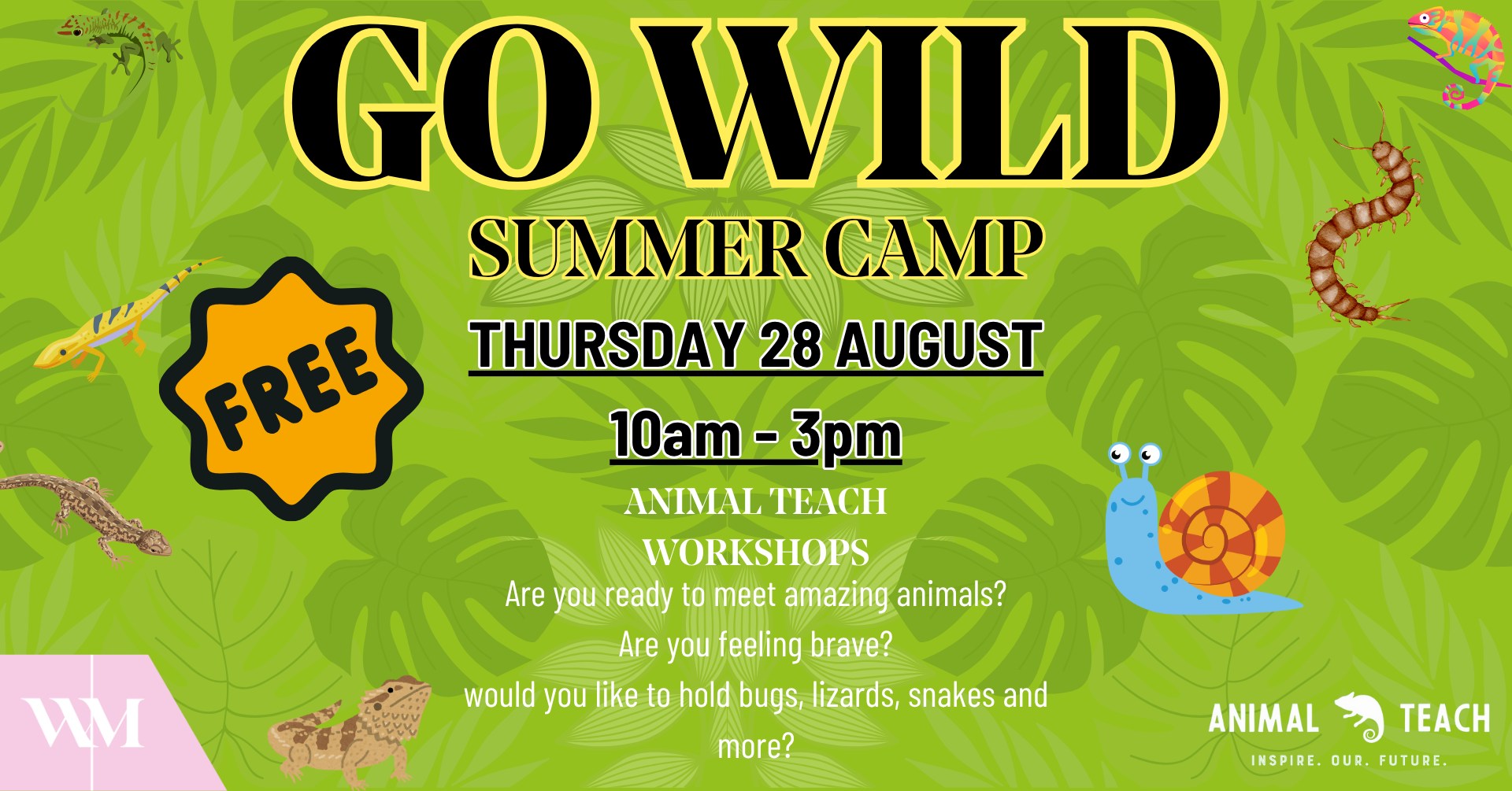 Go Wild Summer Camp