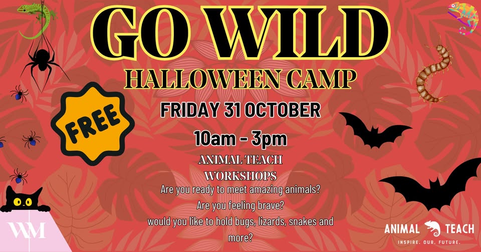 GO WILD Halloween Camp
