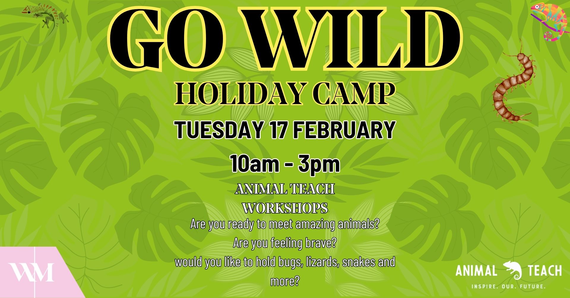 GO WILD Holiday Camp
